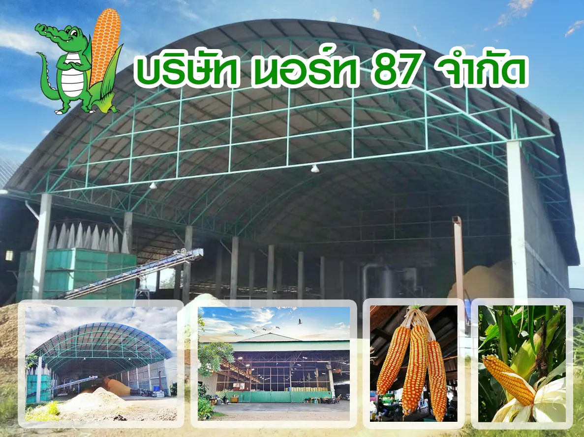 บริษัท นอร์ท 87 จำกัด