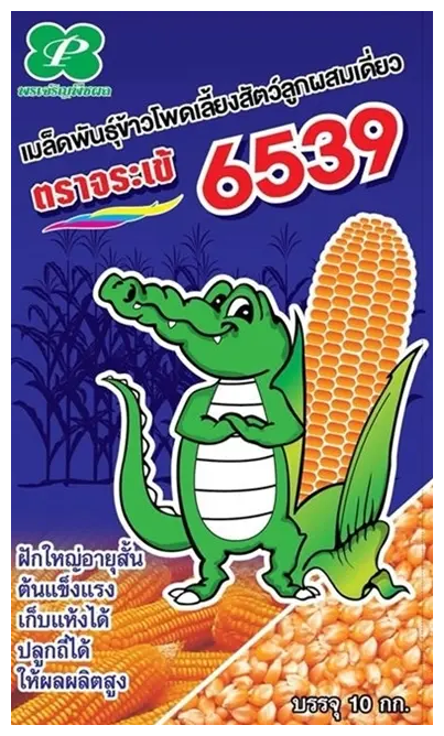 จระเข้ 6539