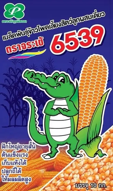เมล็ดพันธุ์ข้าวโพด จระเข้ 6539