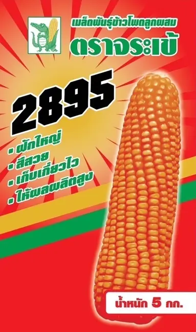 เมล็ดพันธุ์ข้าวโพดเลี้ยงสัตว์ ตราจระเข้ 2895